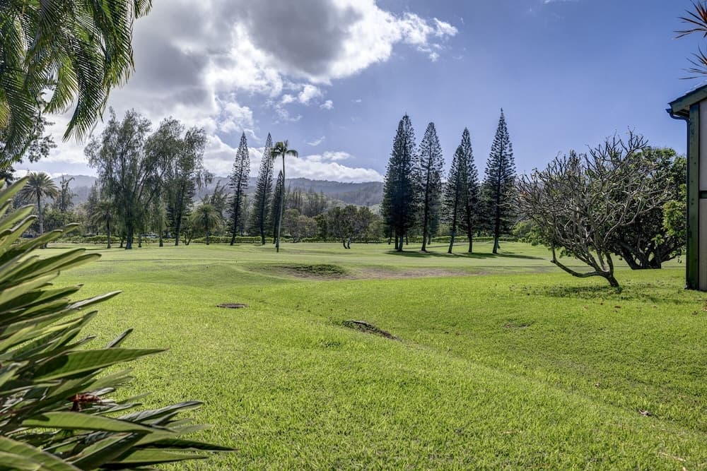 Kuilima Collection #146 - Image 15