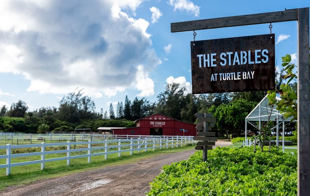 Kuilima Collection #146 - Image 34