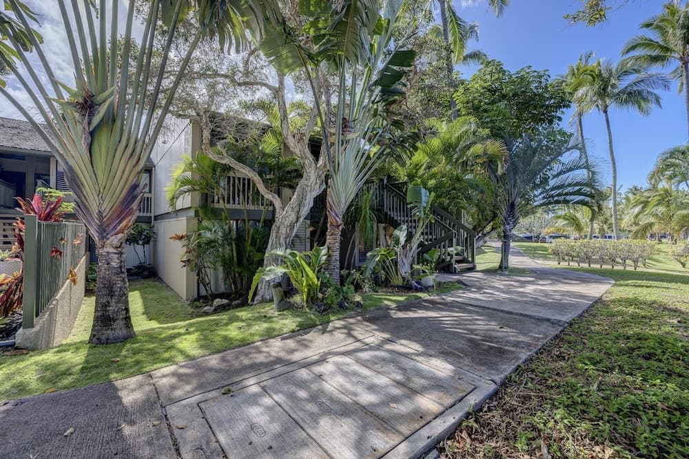 Kuilima Collection #146 - Image 18