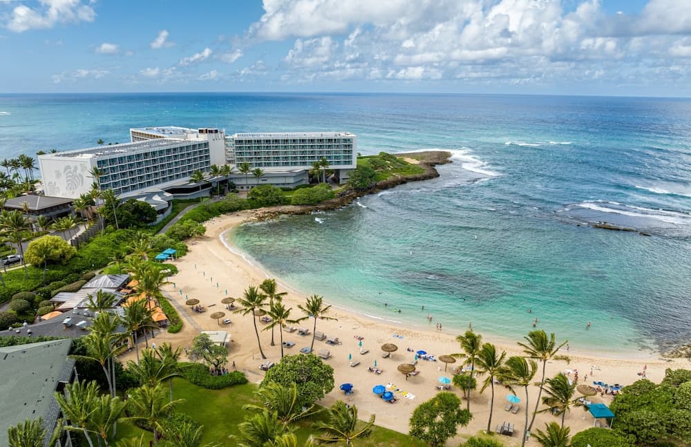 Kuilima Collection #146 - Image 2