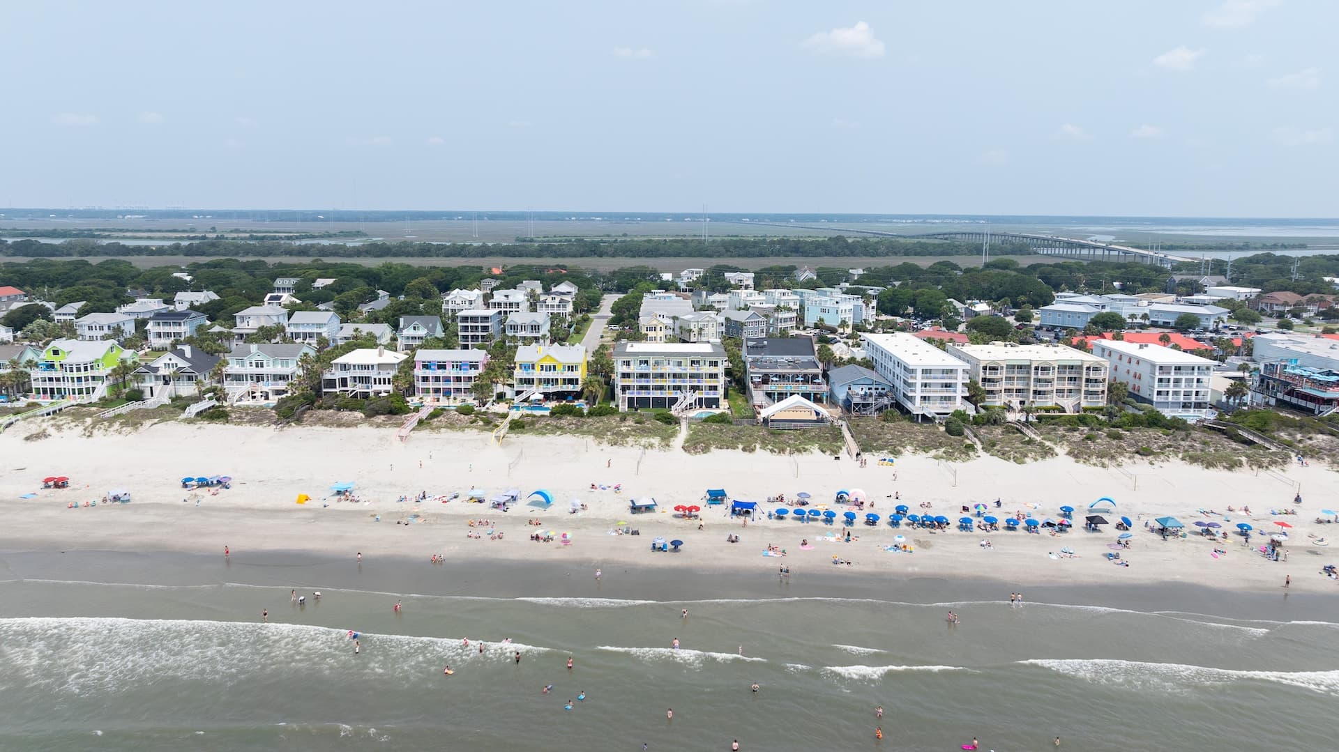 Palms Postcard - Image 46