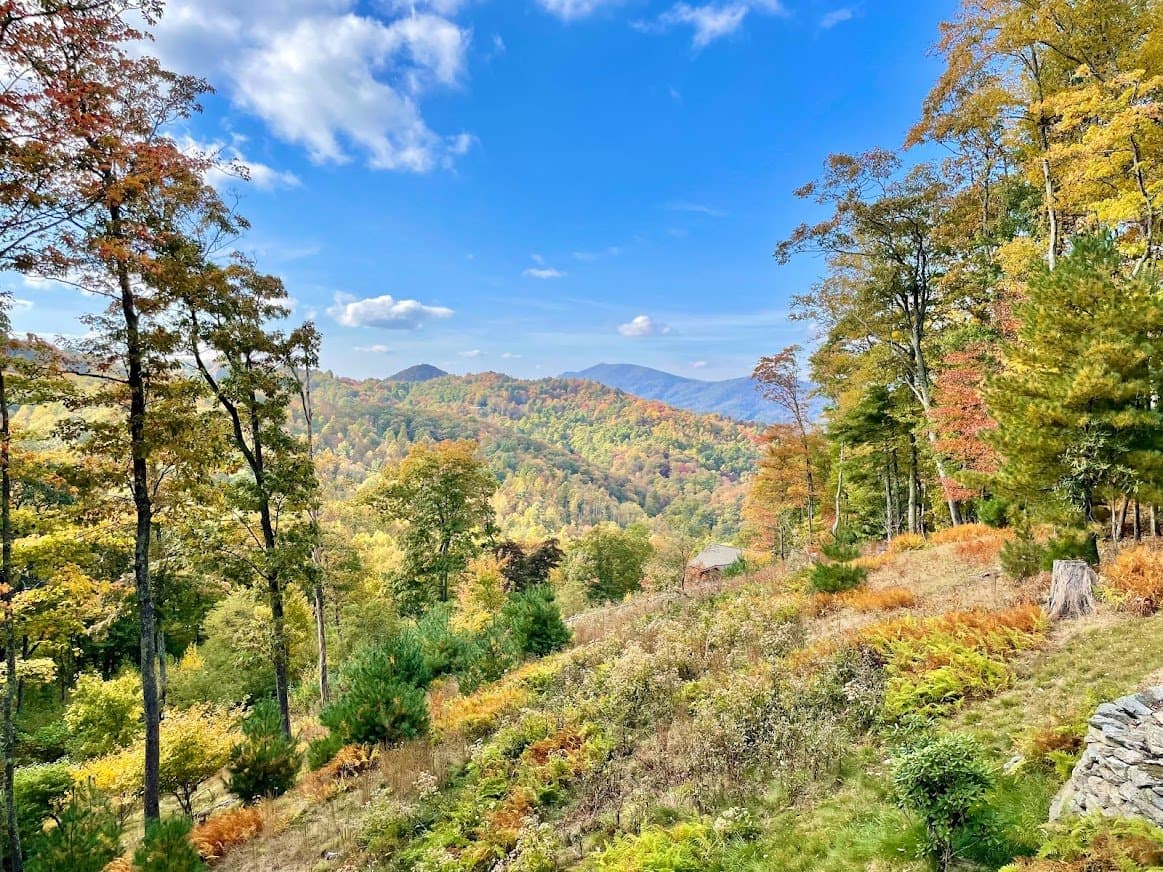 Skyland Cabin - Image 25