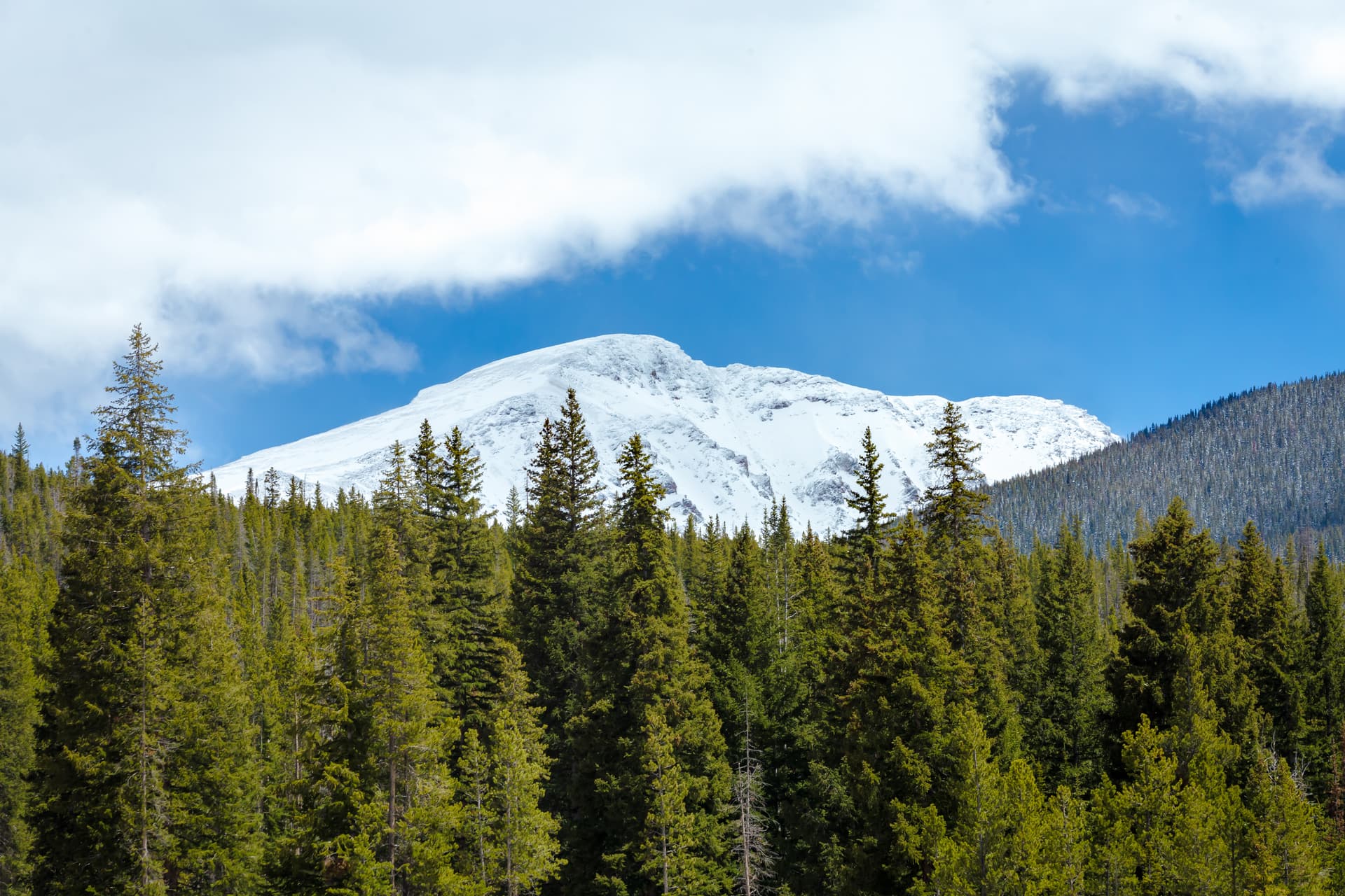 Lakota Northwoods Villa #301 - Image 4