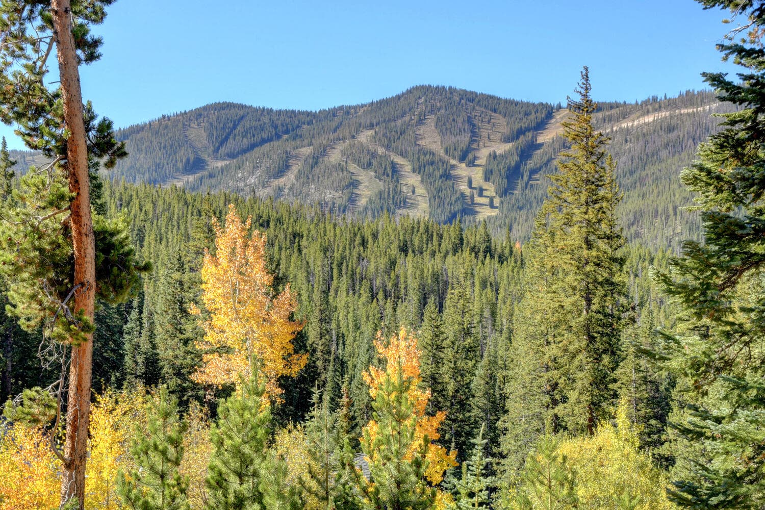 Lakota Northwoods Villa #301 - Image 11