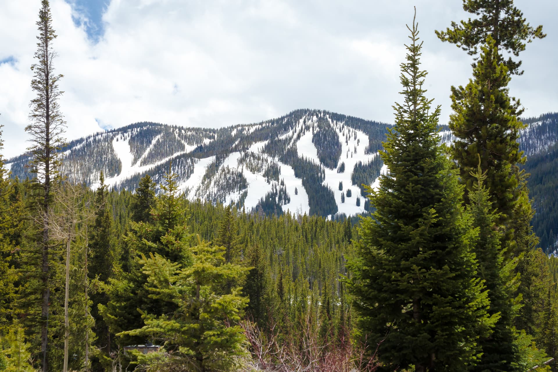 Lakota Northwoods Villa #301 - Image 30