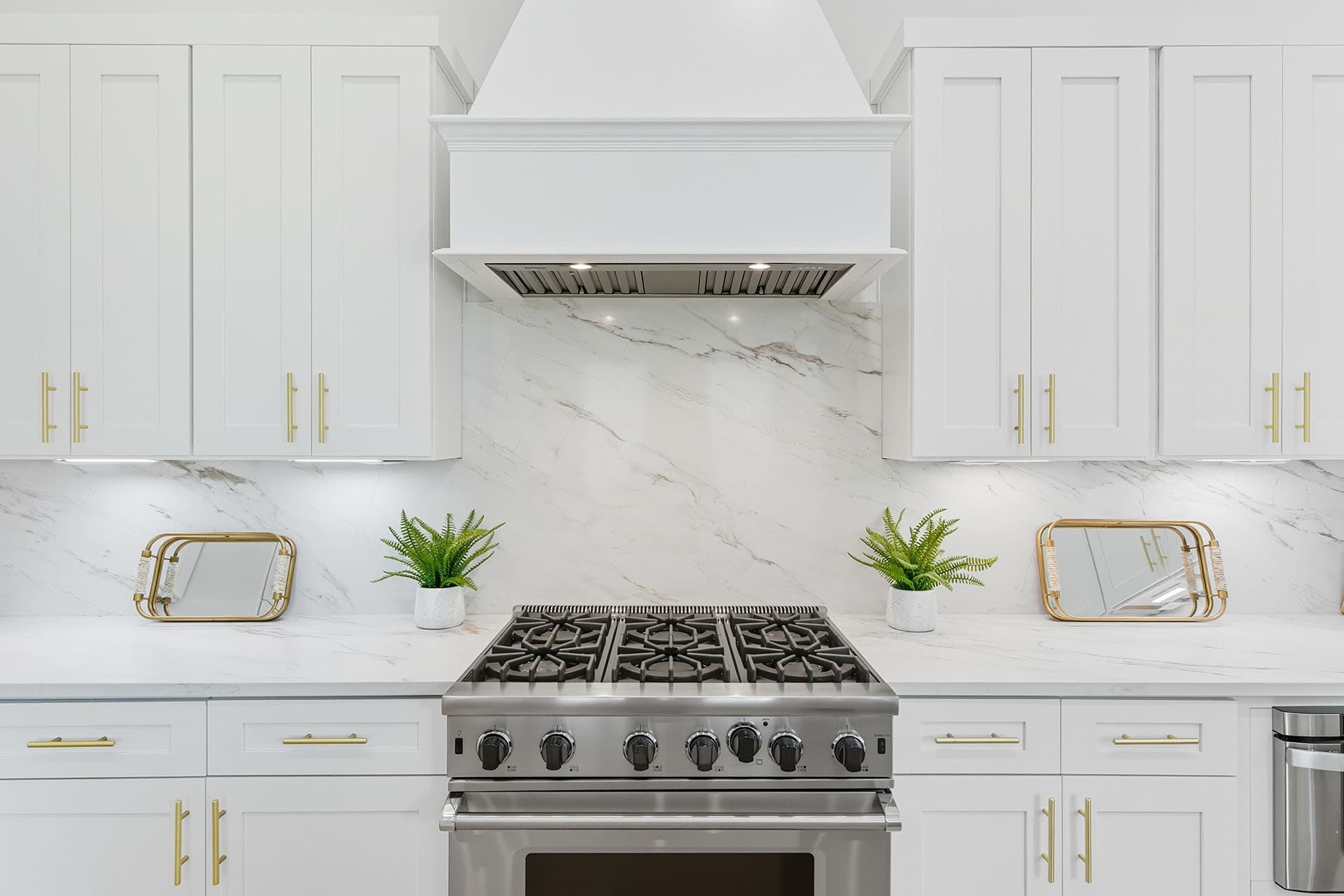 Lilly's Pad - Image 6