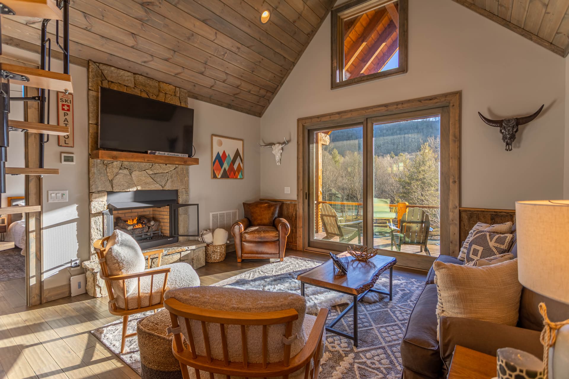 Little Big Bear Home - Image 2