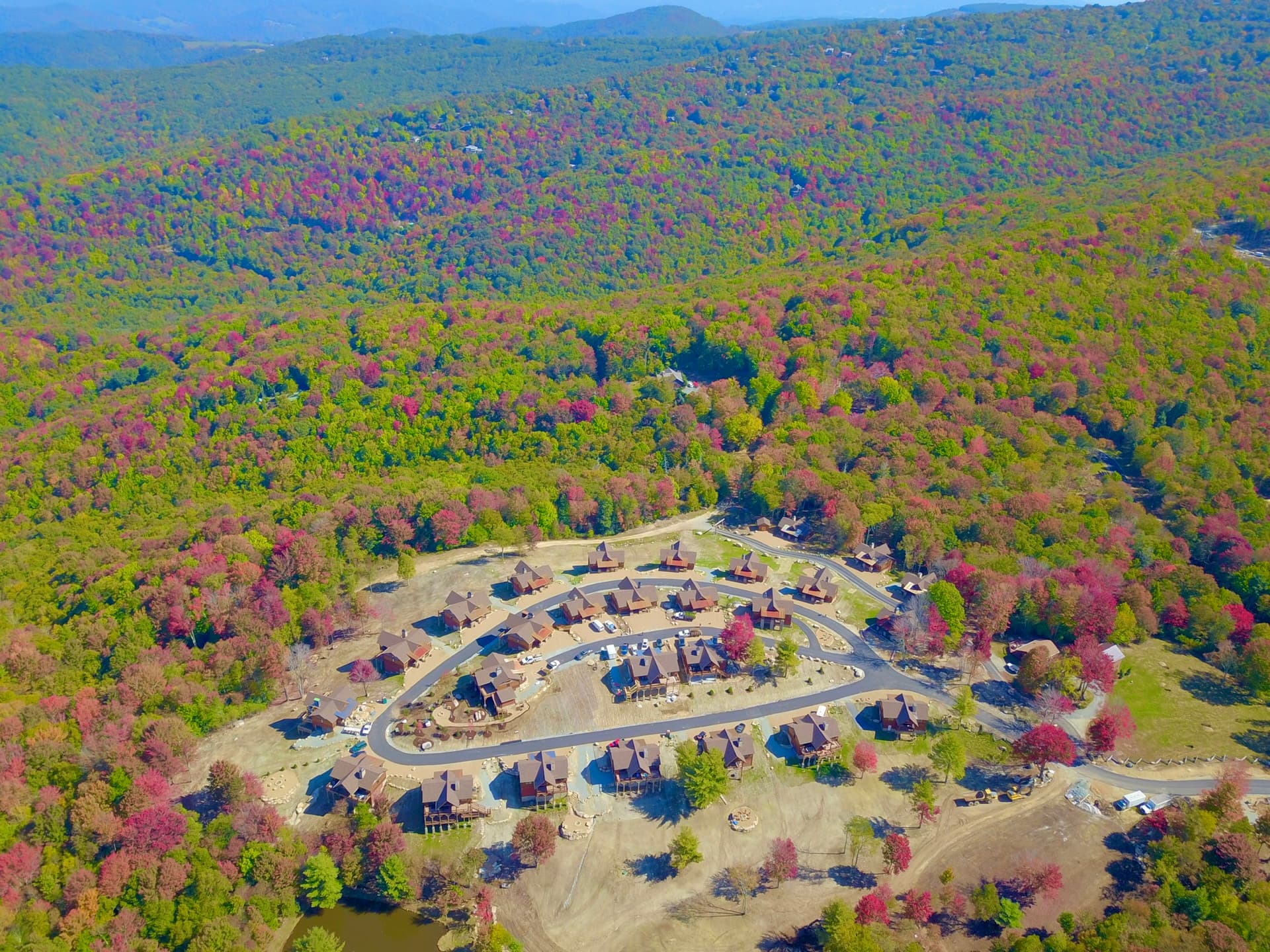 Little Big Bear Home - Image 6