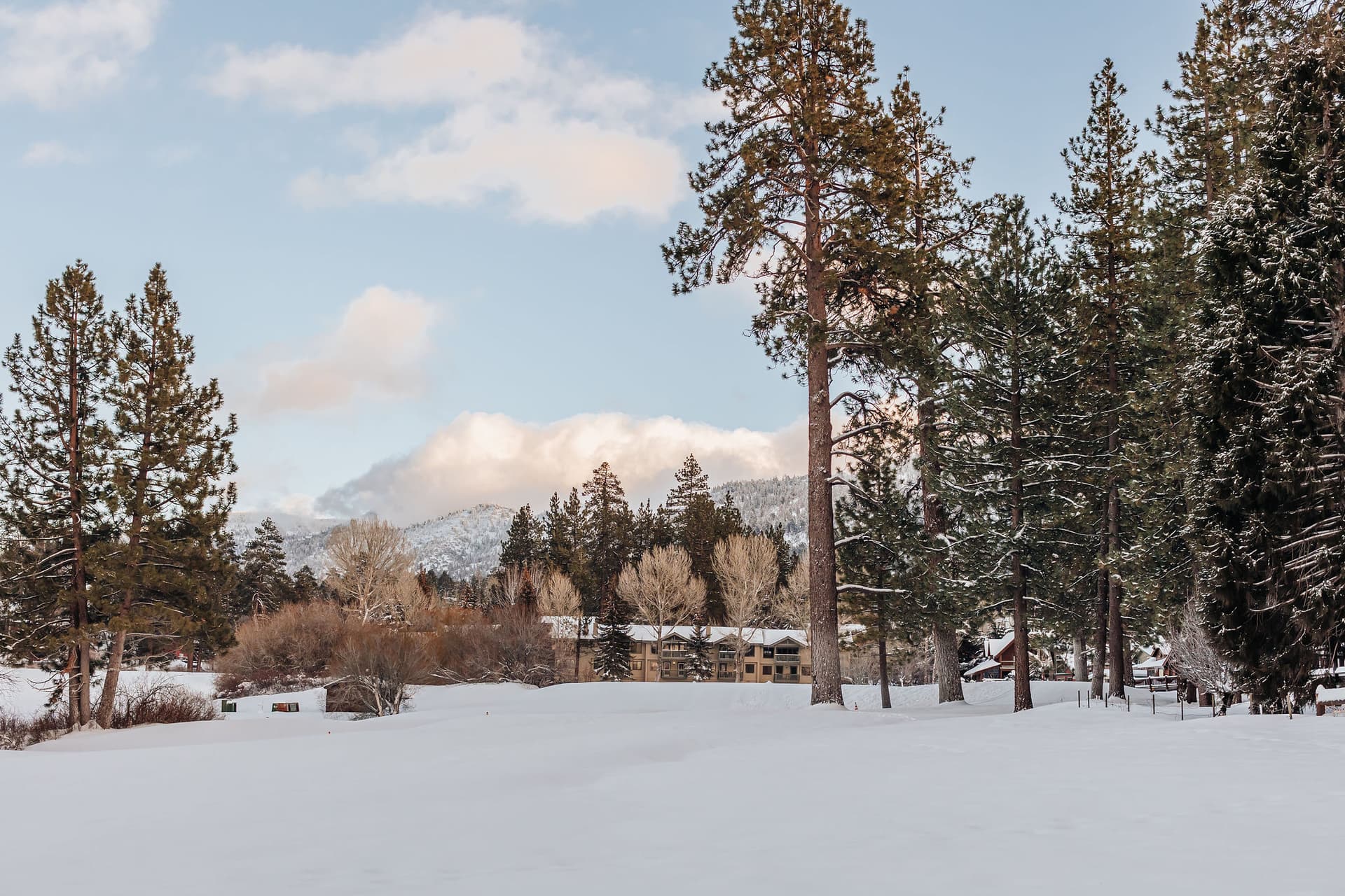 Little Pine Chalet - Image 3