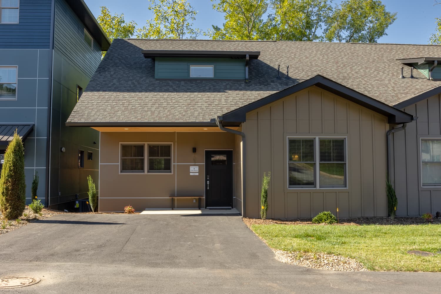 Little Sparrow - Image 6