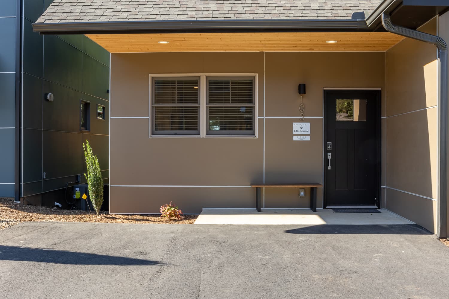 Little Sparrow - Image 7