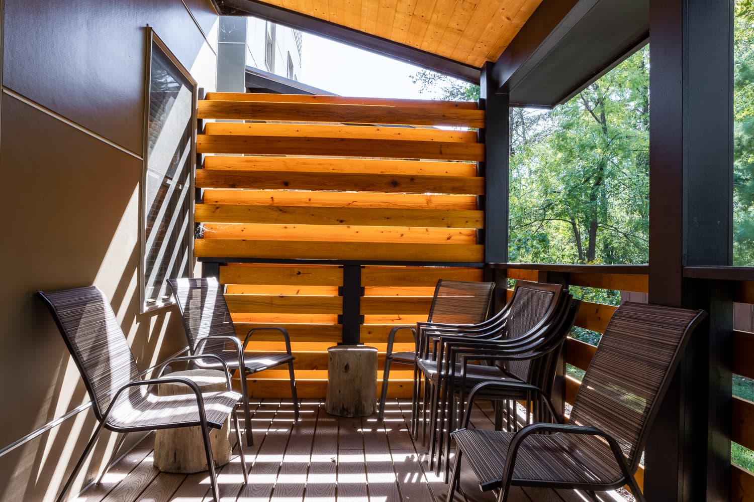 Little Sparrow - Image 3