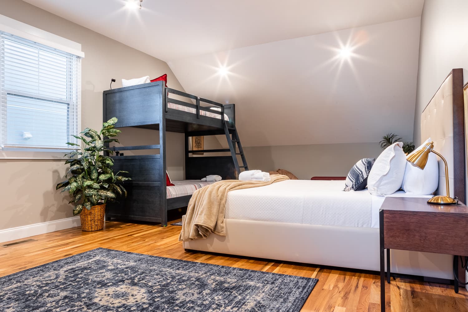 Little Sparrow - Image 35