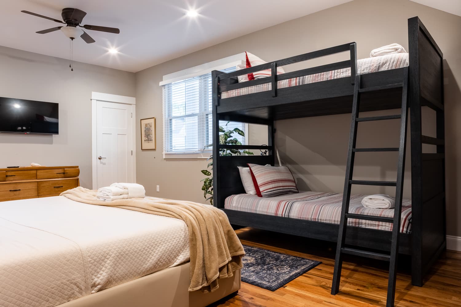 Little Sparrow - Image 37