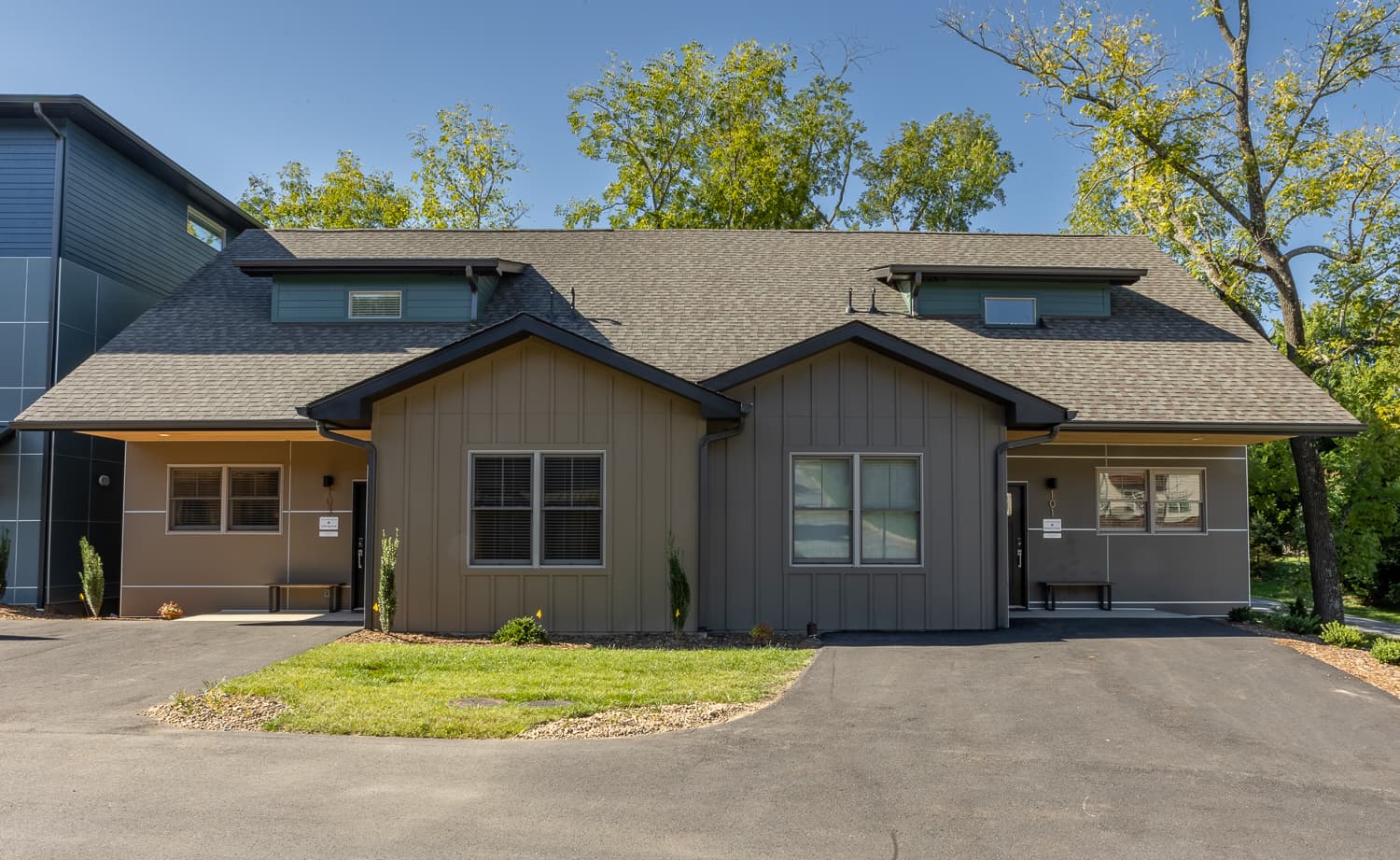 Little Sparrow - Image 42