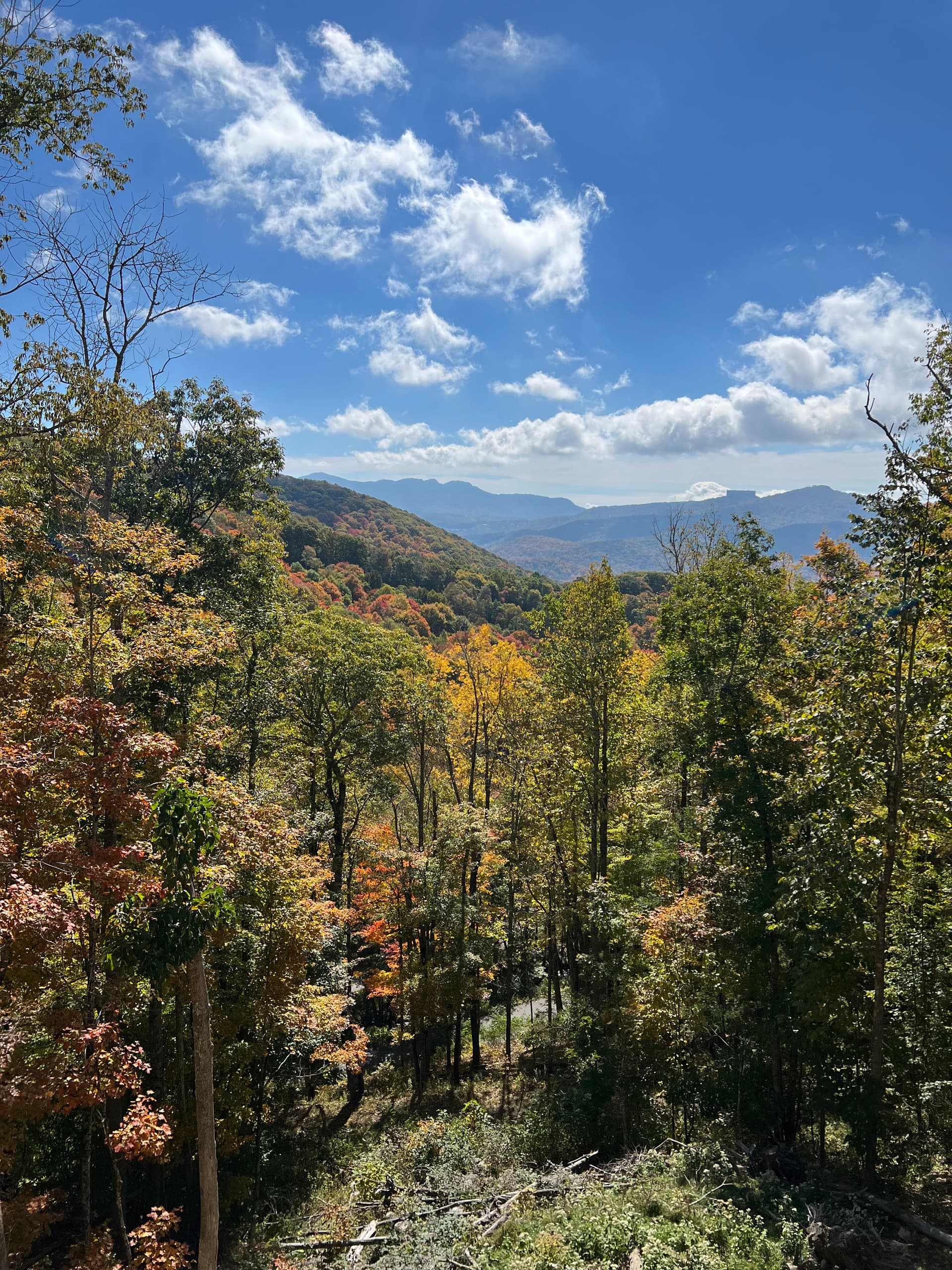 Livin' Lodge - Image 2