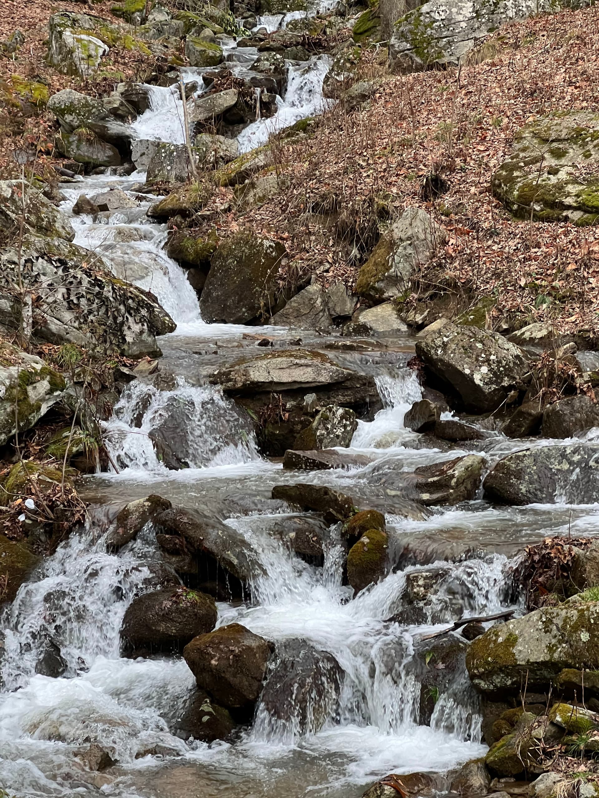 Livin' Lodge - Image 3