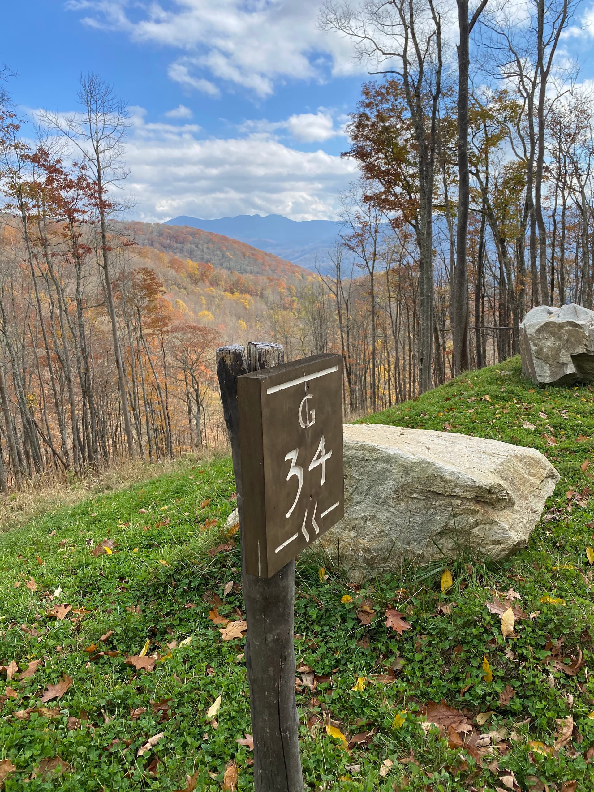 Livin' Lodge - Image 7