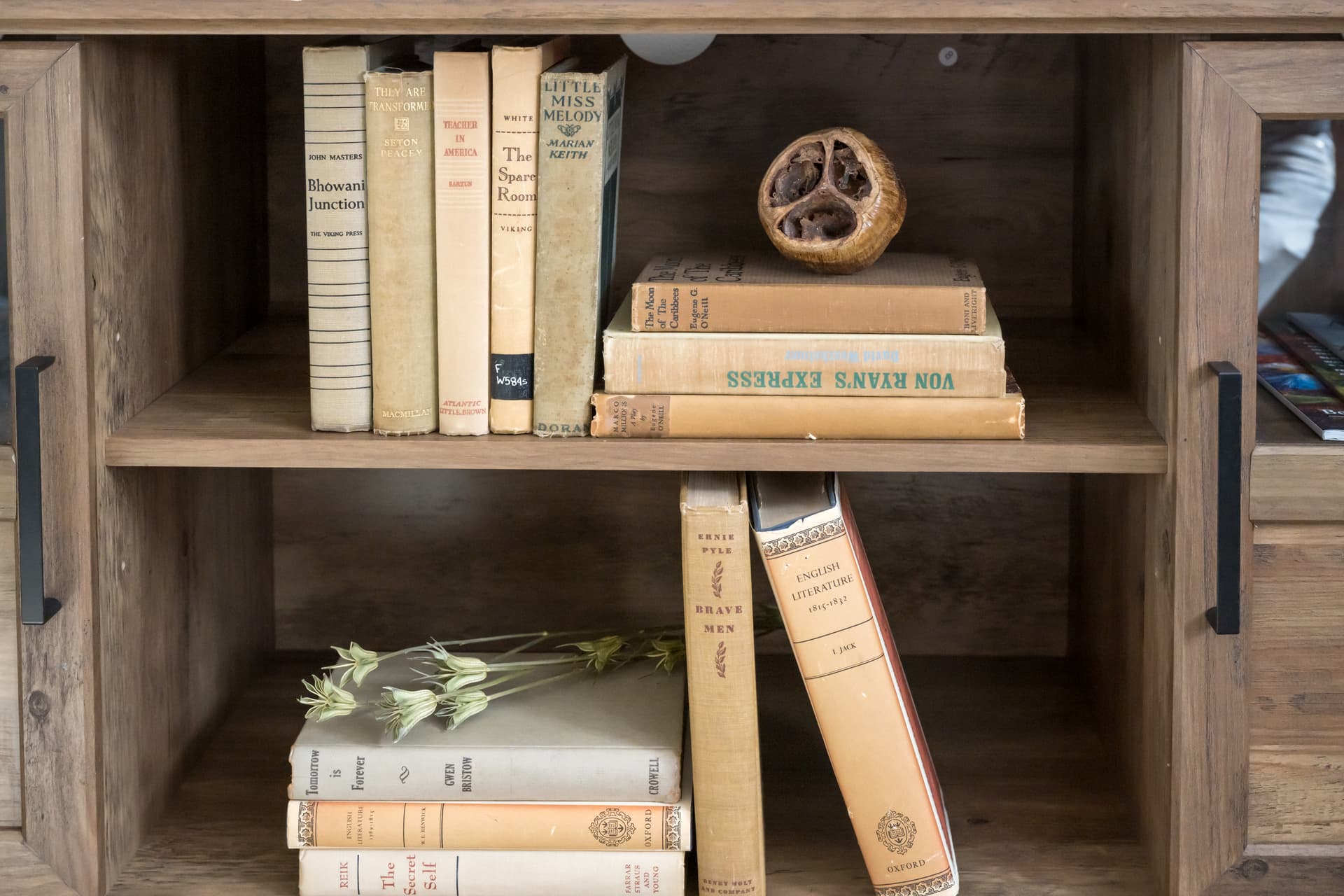 Long Grass View - Image 20