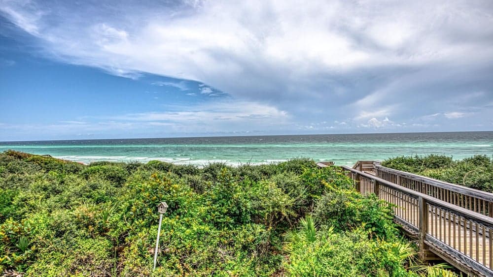 Matchless Nature Way - Image 33