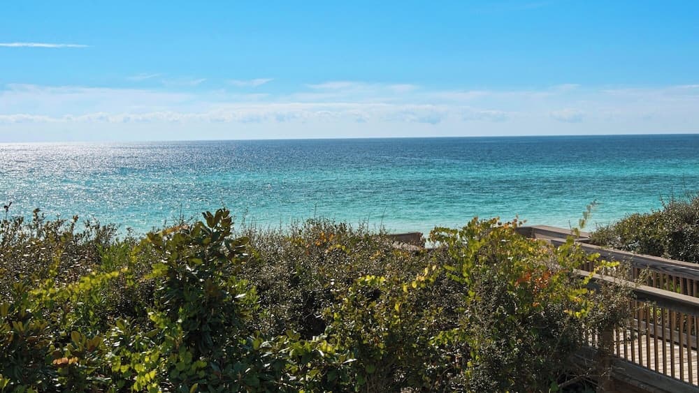 Matchless Nature Way - Image 43