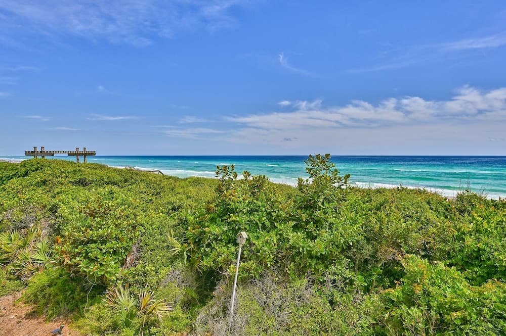 Matchless Nature Way - Image 44