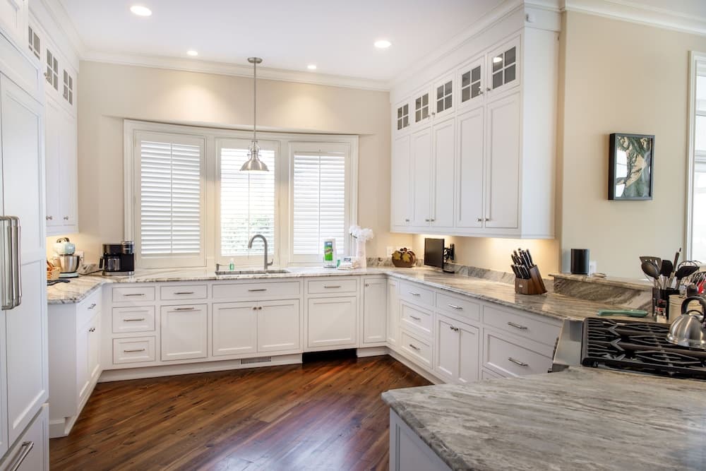 Surf Scoter - Image 5