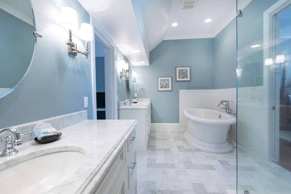 Surf Scoter - Image 26