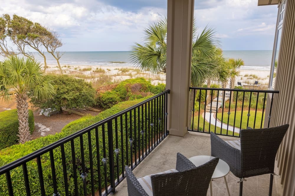 Surf Scoter - Image 27