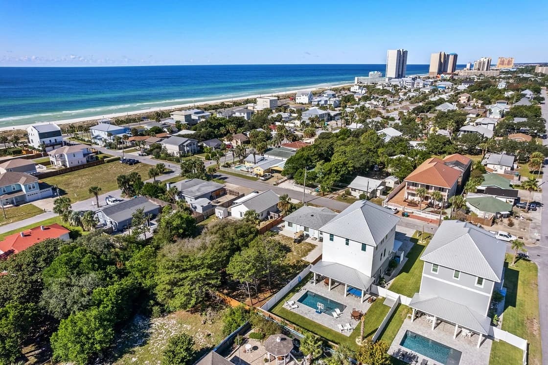 Tipsea Turtle - Image 3