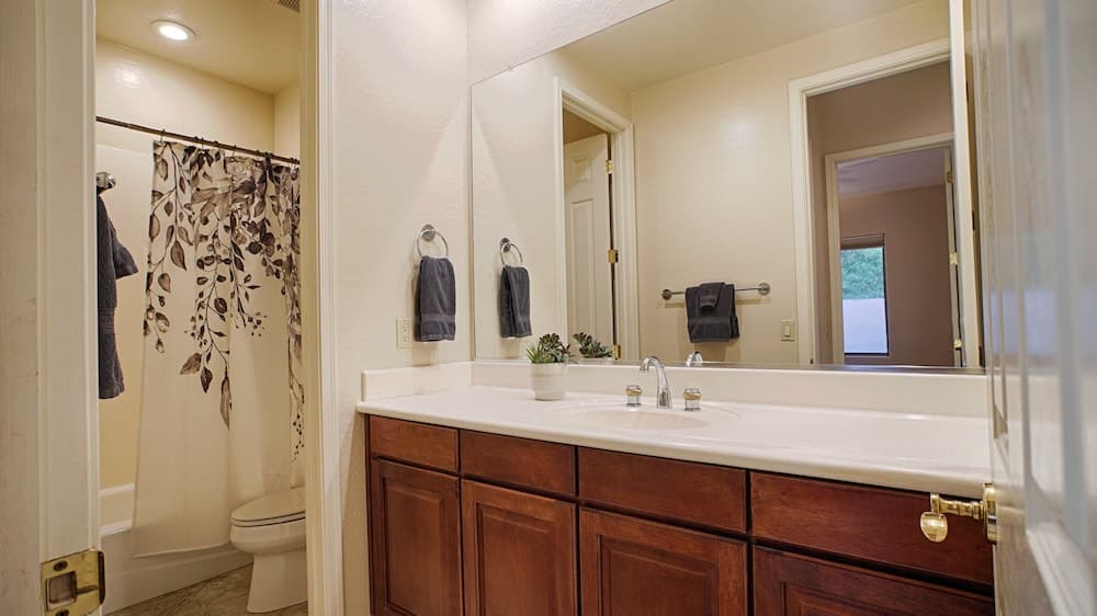 Lynx Chandler/ocotillo - Image 28