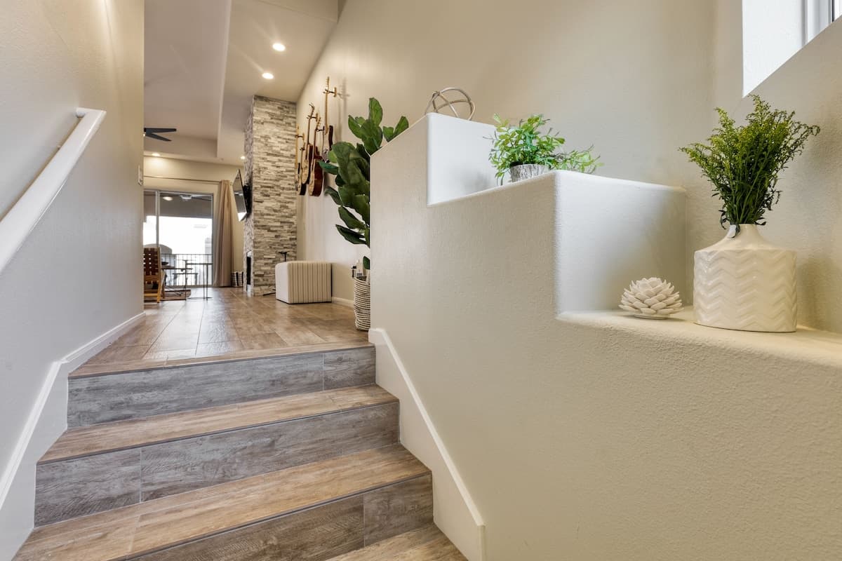 Eucalyptus - Image 6