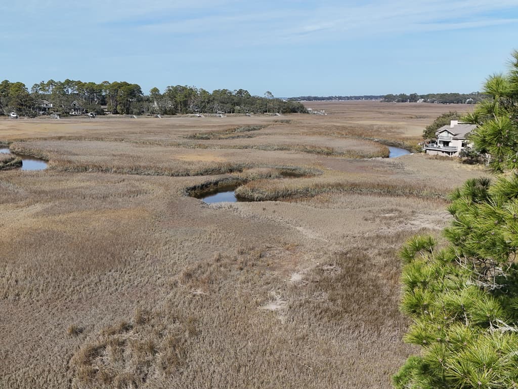 Tidal Tranquility - Image 85