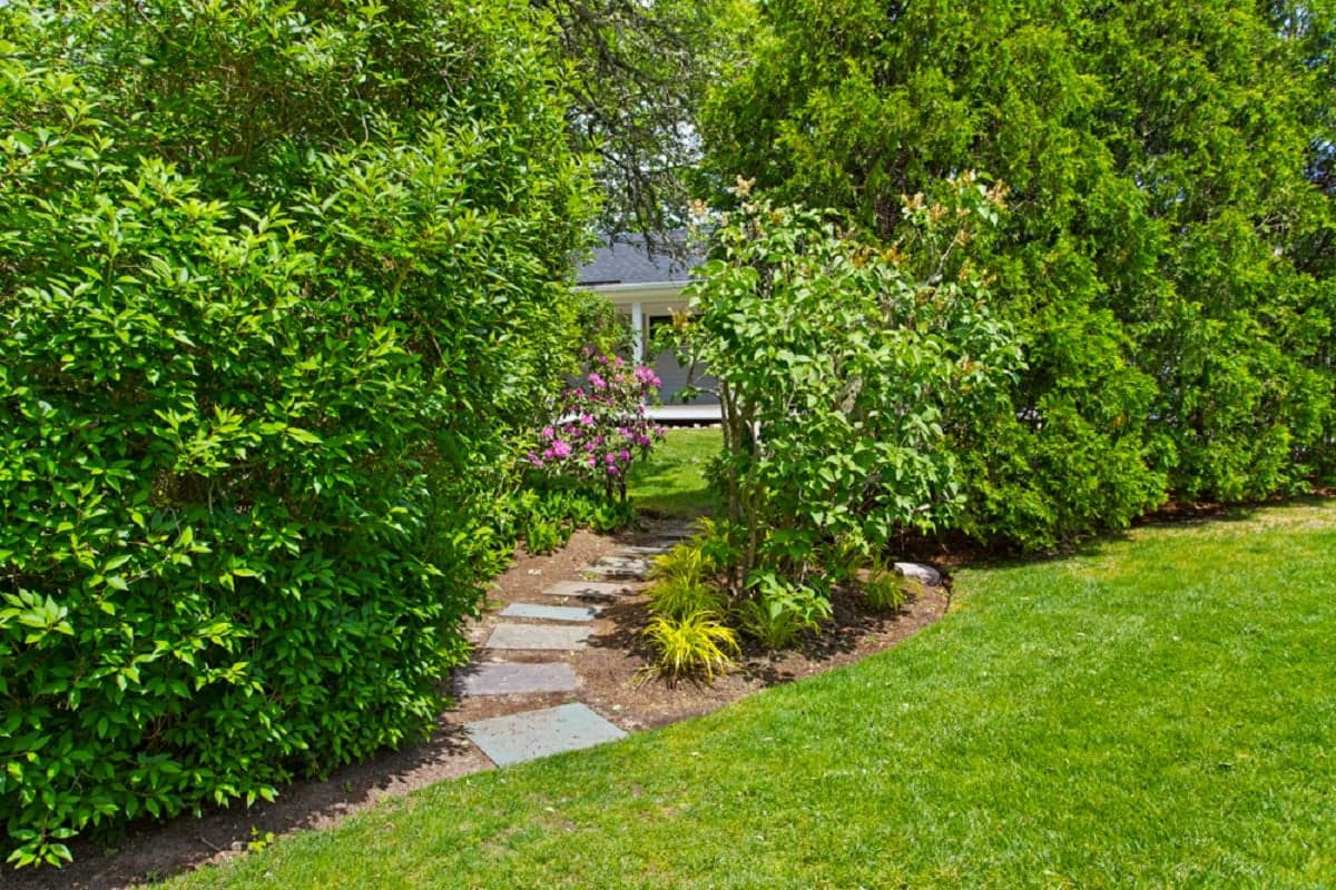 Beam Reach - Image 35