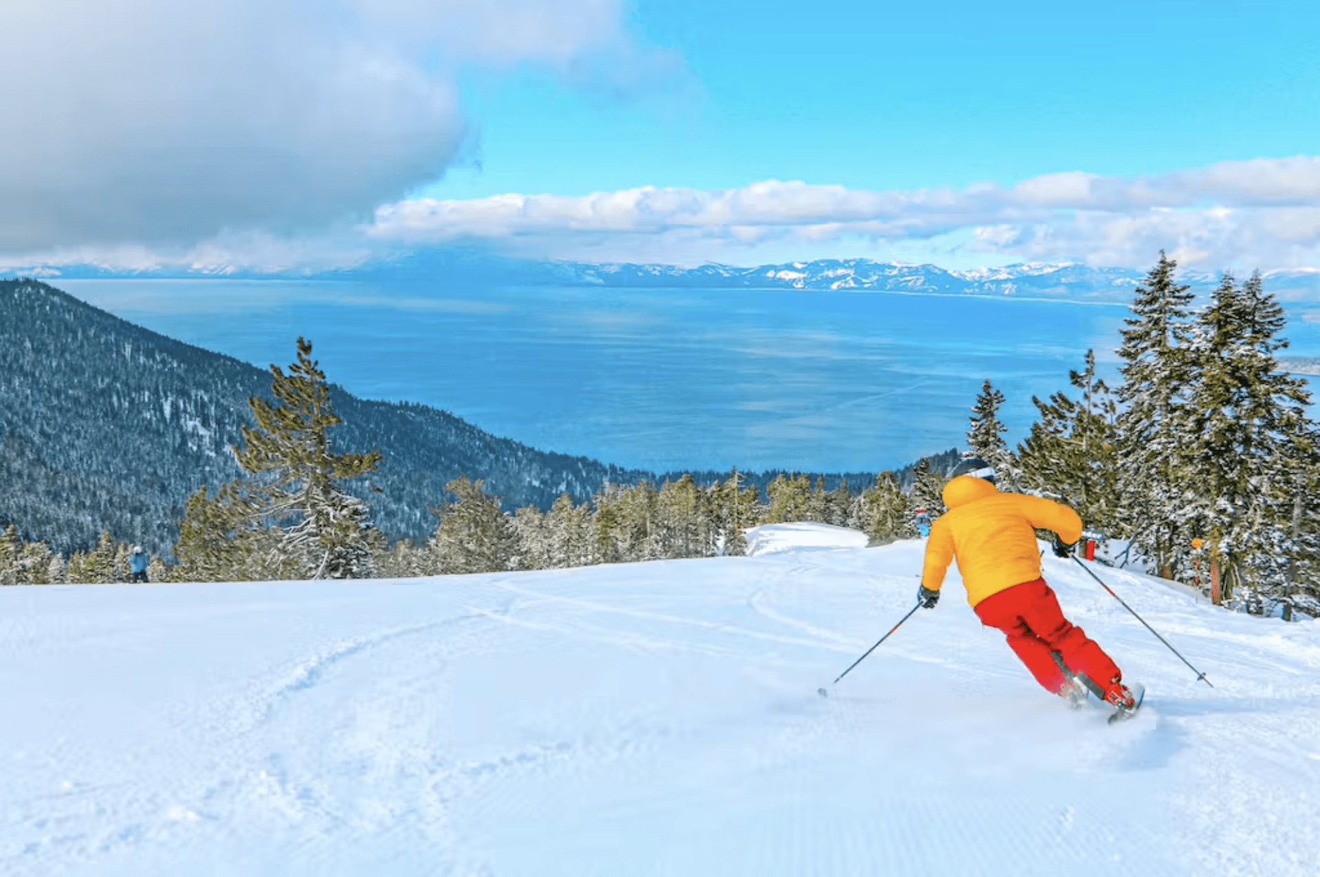 Among the Trees Home - Image 31