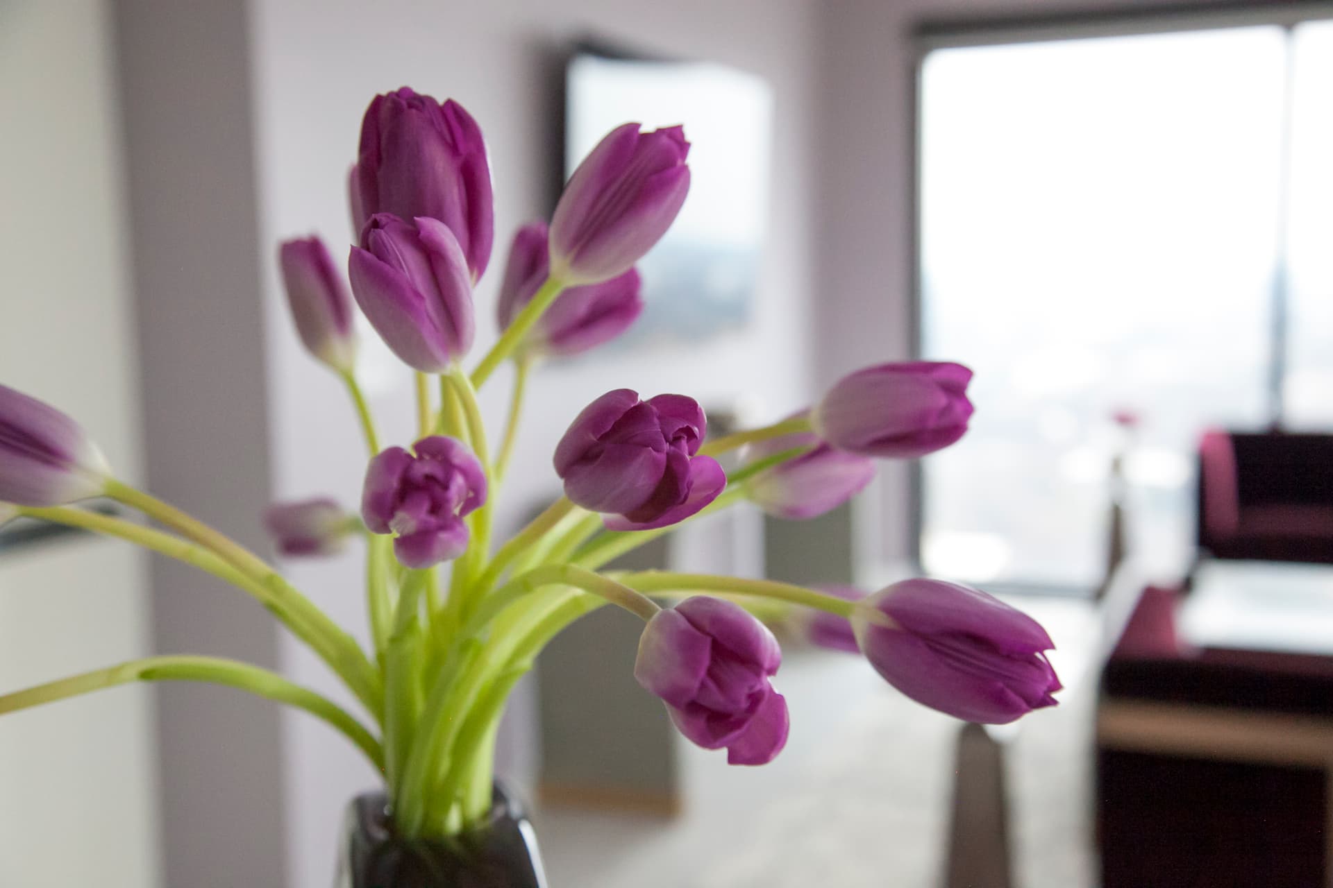 Majestic Sanctuary - Image 35