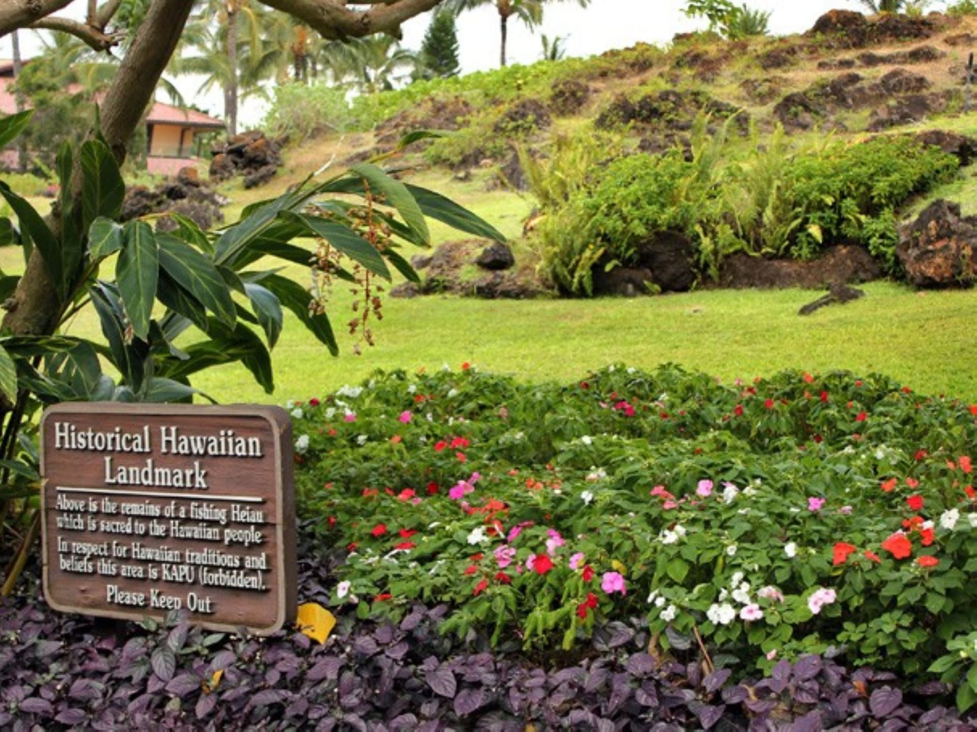 Makena Surf #A102 - Image 22