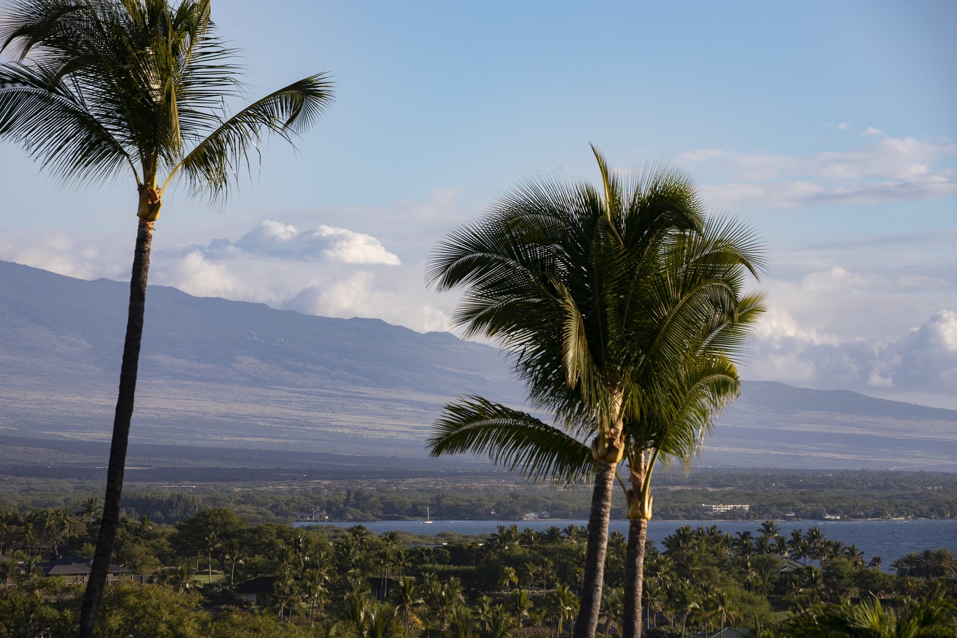 Mauna Kea Villas #13 - Image 49
