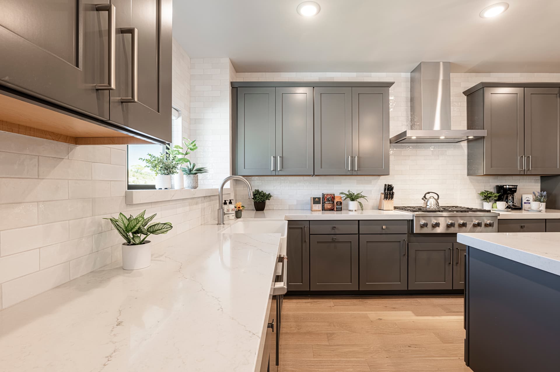 Mayflower Deer Tracks - Image 10