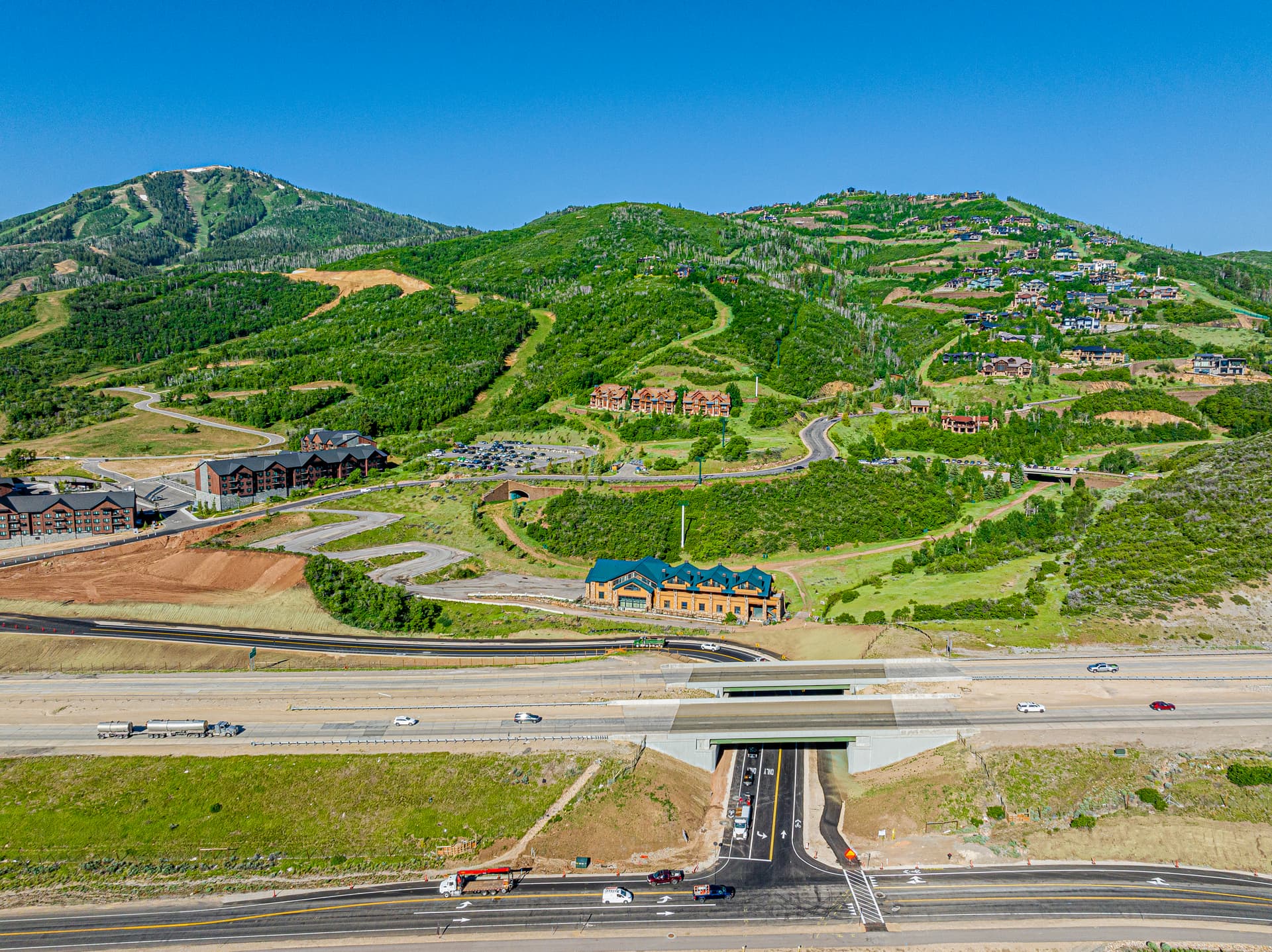 Mayflower Deer Tracks - Image 50