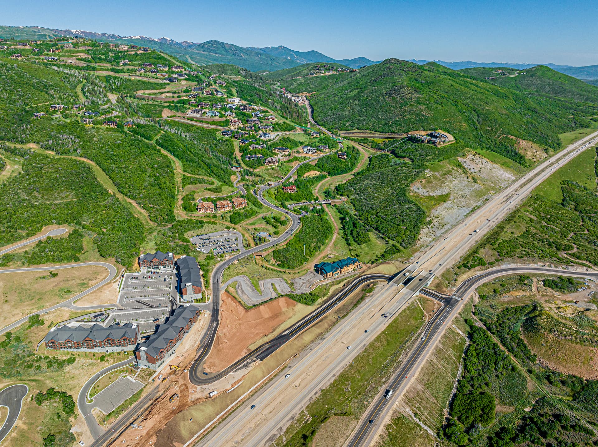 Mayflower Deer Tracks - Image 52