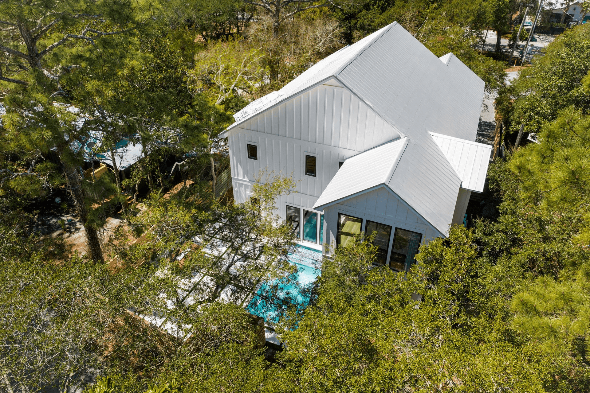 Blue Pearl - Image 47