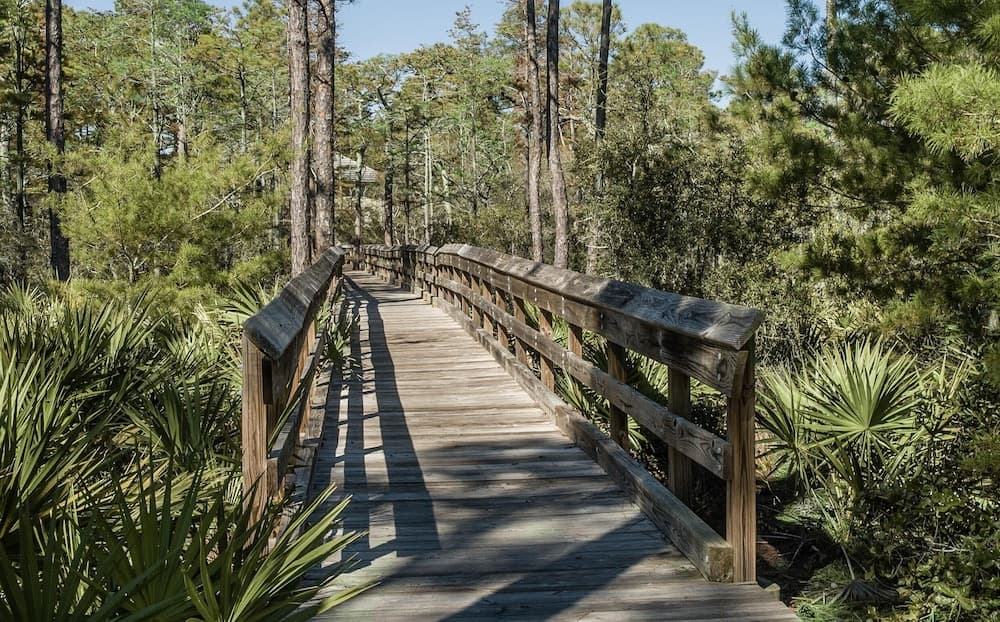 Mimi's Pearl - Image 27