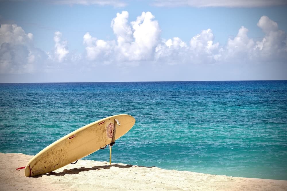 ML Aloha Hoonani - Image 58