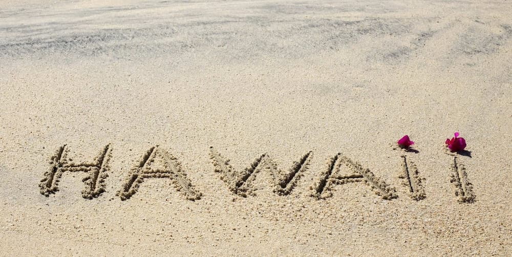 ML Aloha Hoonani - Image 59