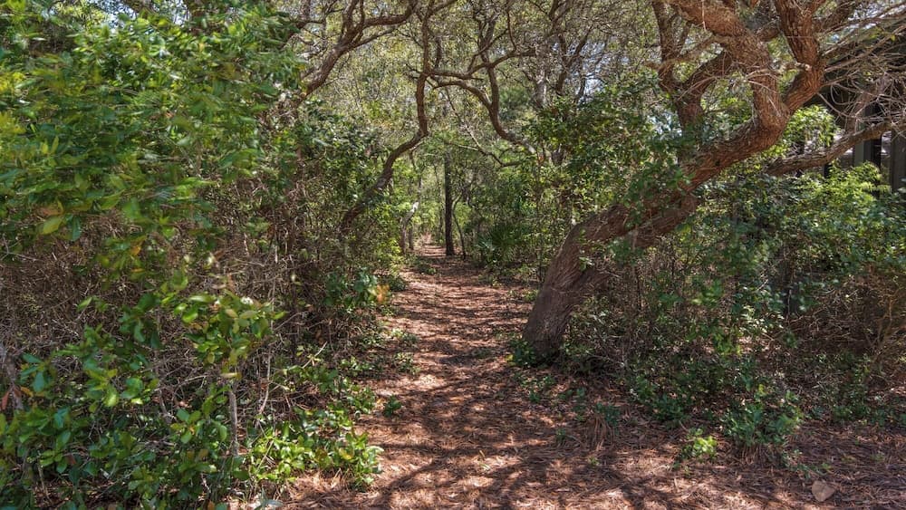 Apres Sea - Image 58