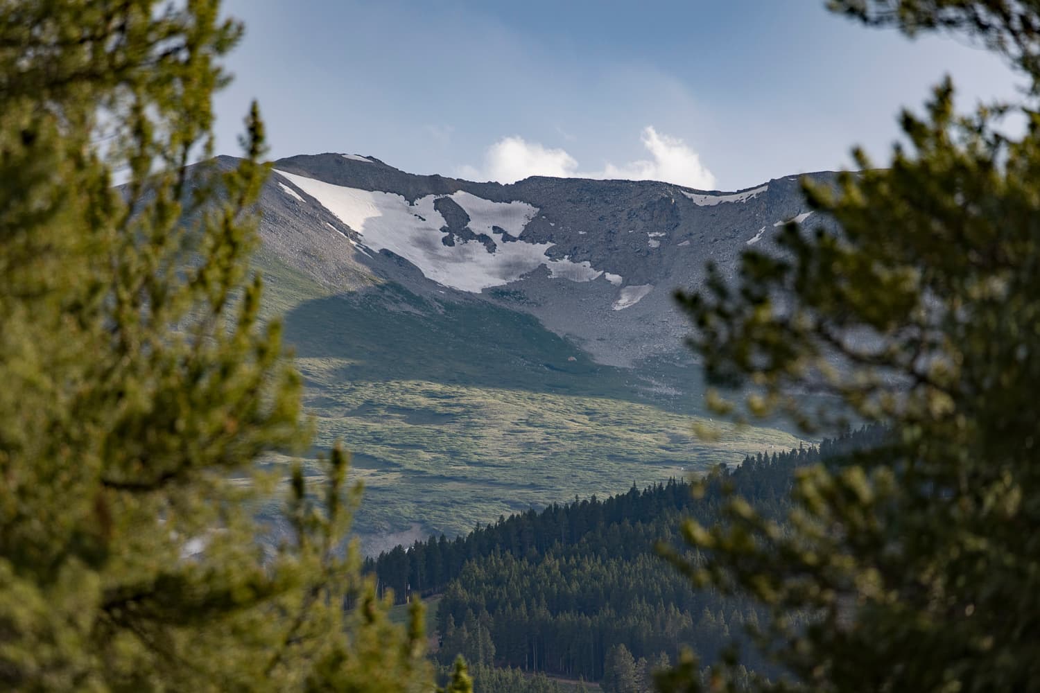 Mountain Gem Estate - Image 72