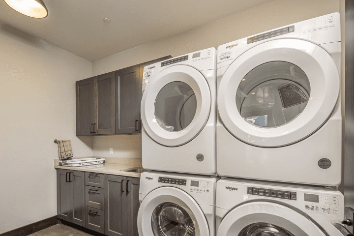 Swift Bear #23 - Image 32