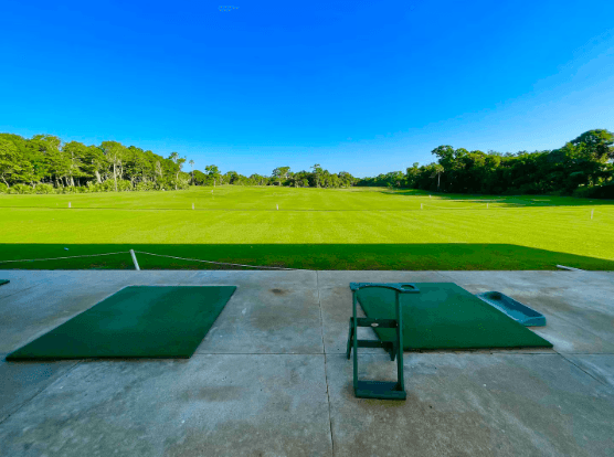 Jungle Sol - Image 31