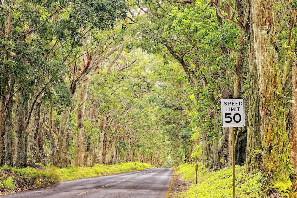 Nakoa Kai - Image 28